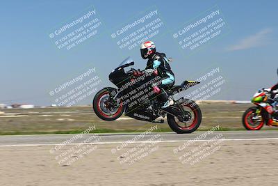 media/Mar-24-2025-2WTD (Mon) [[55b4b08488]]/C Group/1240pm (Wheelie Bump)/